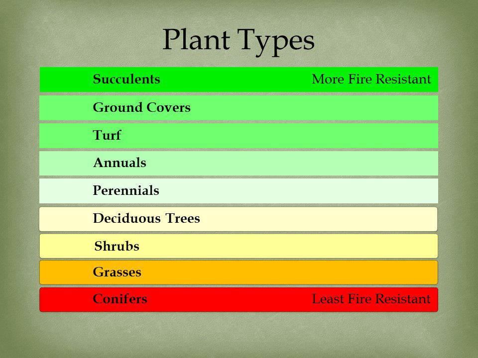 Plant Types